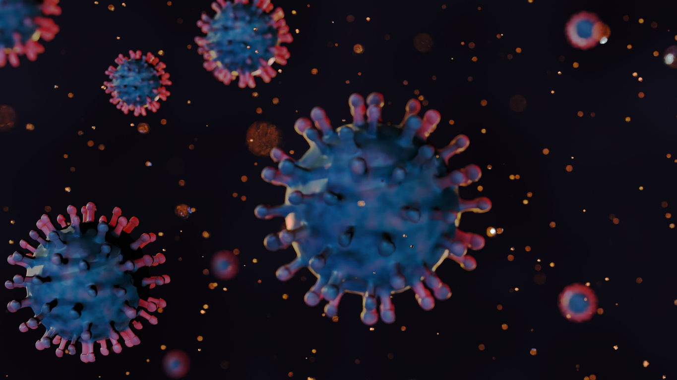 3D-Rendering des Chikungunya-Virus.