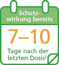 Schematische Darstellung eines Kalenderblatts mit der Aufschrift „Schutzwirkung bereits 7–10 Tage nach der letzten Dosis“