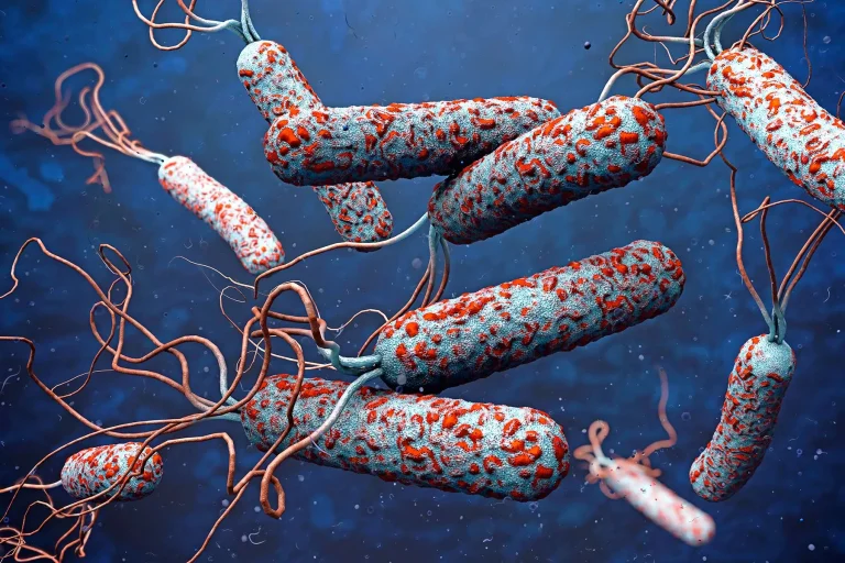 What is Cholera?