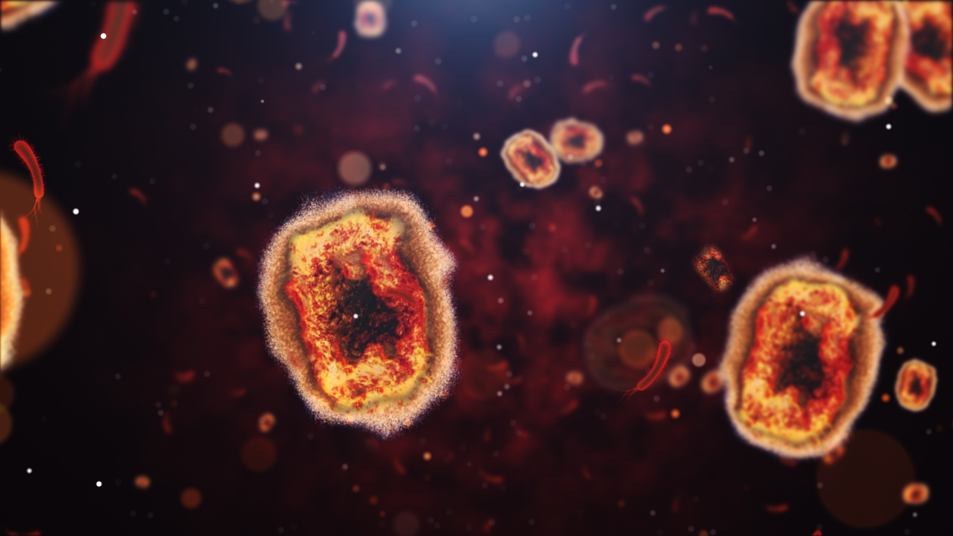 Une image microscopique de l'agent pathogène responsable du mpox.